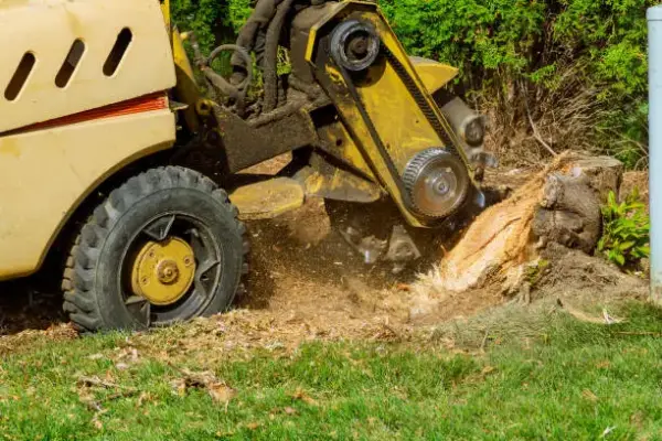 Dependable stump service in Kimberly, WI Dependable stump service in Kimberly, WI